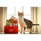 Katze Nassfutter Schnupperpaket Katzen 200g 1 Paket mit verschiedenen Sorten / Testpackungen -6- Anifit