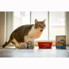 Katze Nassfutter Eismeer Terrine 200g 6 Stück -3- Anifit