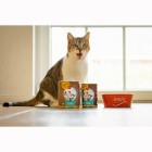 Cat Wet pet food RyCat Organic Duck (Bio-Ente) 800g 6 Piece -3- Anifit